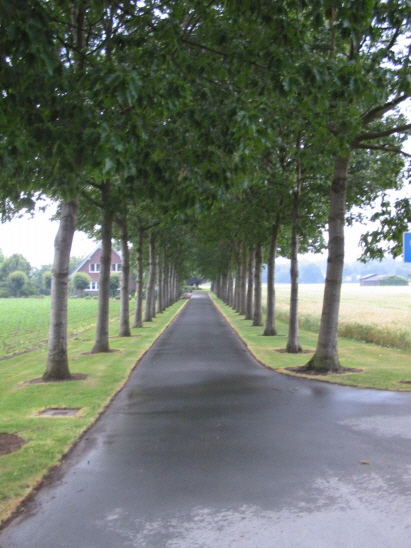 Frontansicht