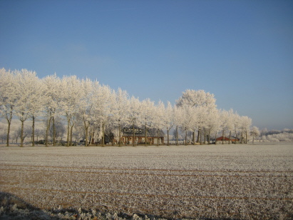 Dezember 2007